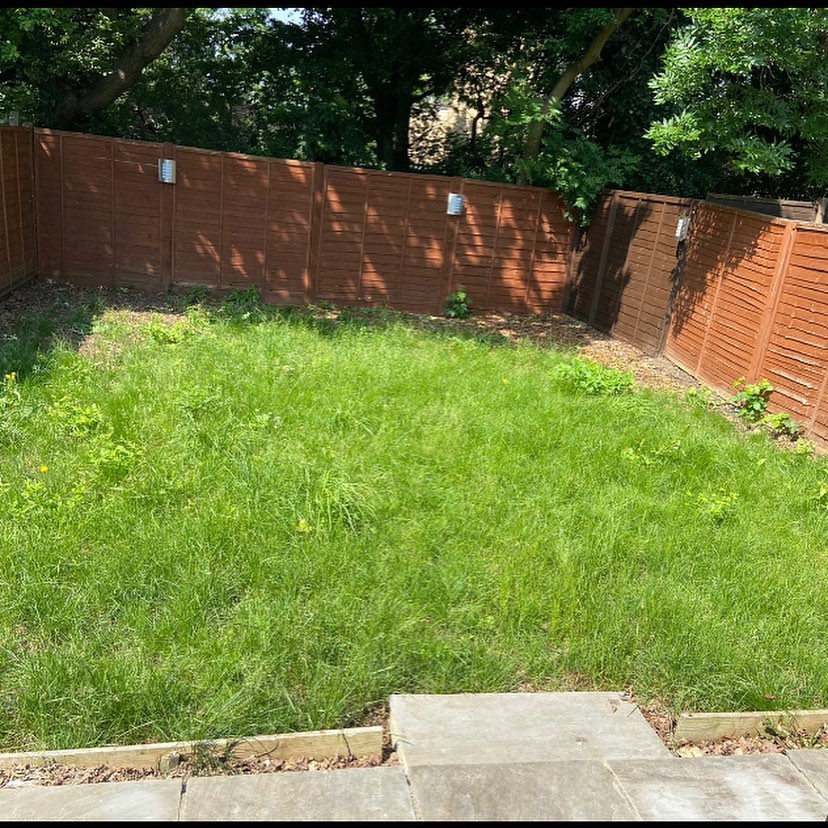 Before landscaping