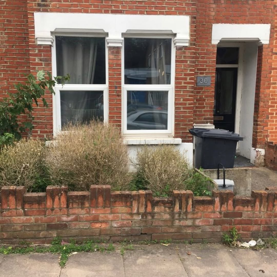 Before landscaping